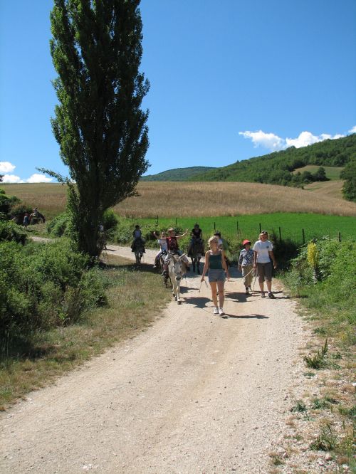 asinelli-24.JPG